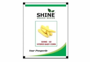 Shine - 60 Hybrid Baby Corn-2.png